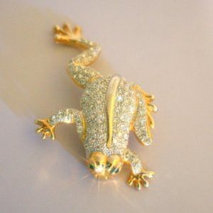 💖 This Frog Pin Has a Special Sparkle / P13